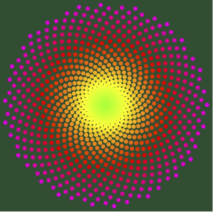 A mathematical golden ratio sunflower