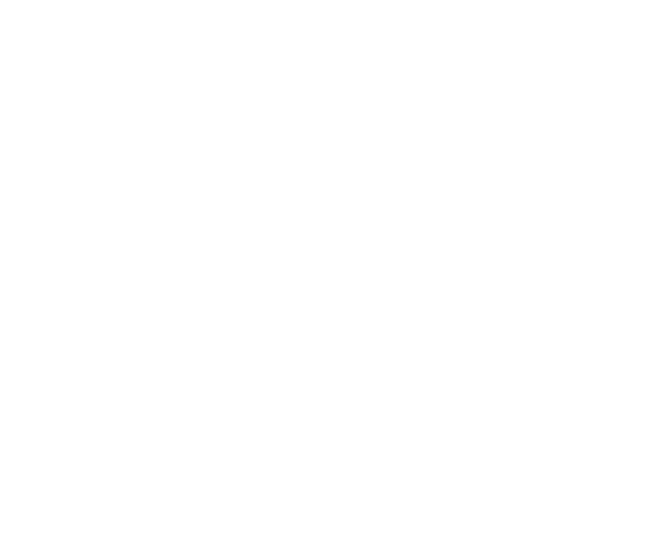 simbolo_bianco-1.png